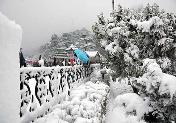 Shimla-Manali-g32807